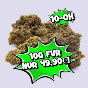 HHC Blüten 10g nur 49