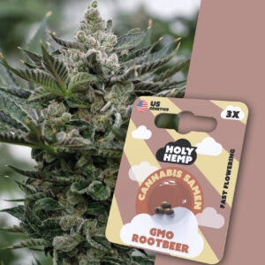 holy hemp cannabissamen gmo rootbeer.jpg